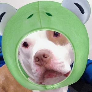 Meet your Posher, Caitlin